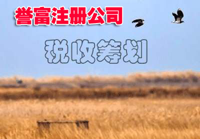 教你如何高效完成上海公司注冊?